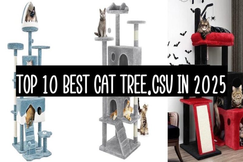 Top 10 Best Cat Tree In 2025