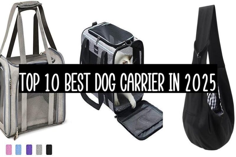 Top 10 Best Dog Carrier In 2025
