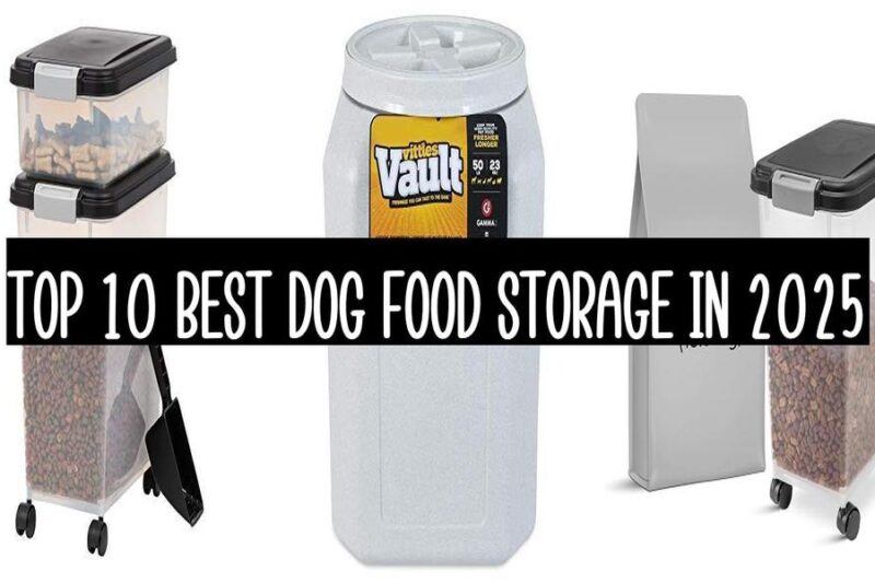 Top 10 Best Dog Food Storage In 2025
