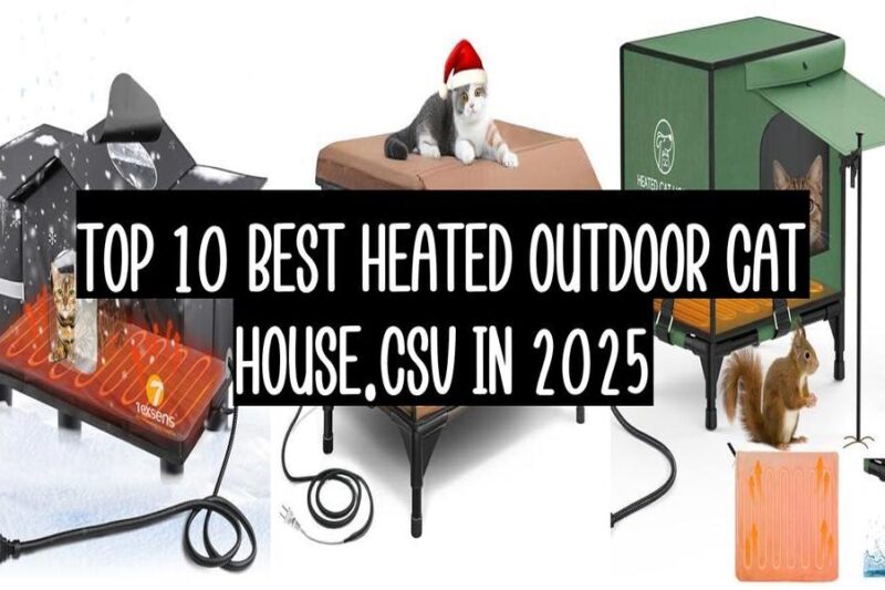 Top 10 Best Heated Outdoor Cat House In 2025