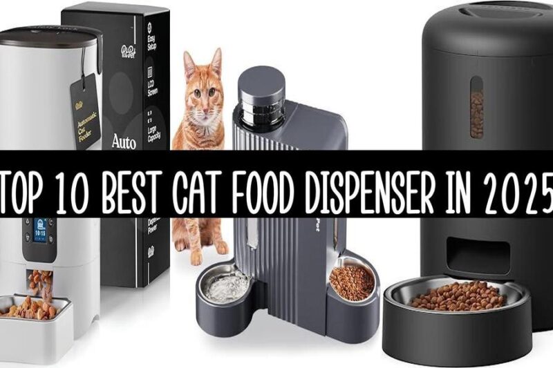 Top 10 Best Cat Food Dispenser In 2025